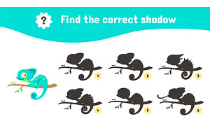 Find correct shadow chameleon, an Education Illustration by Valerie Bodnar