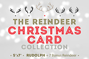 Reindeer Christmas Card + 7 Bonus, a Card Template by xxDeadPixels (Thumbnail 1 of 5)