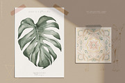 Modern Oasis Watercolor Collection, an Animal Illustration by Julia Dreams (Thumbnail 10 of 10)