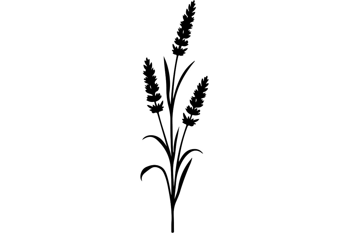 Decorative Tribal Feather Vector, an Object Graphic by Designer_Momina (Photo 16 of 18)