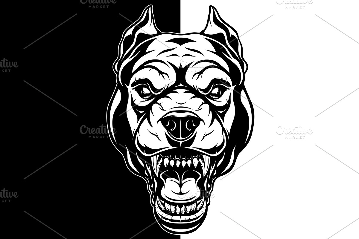 Head of a ferocious pit bull grins, an Animal Illustration by Mark2000