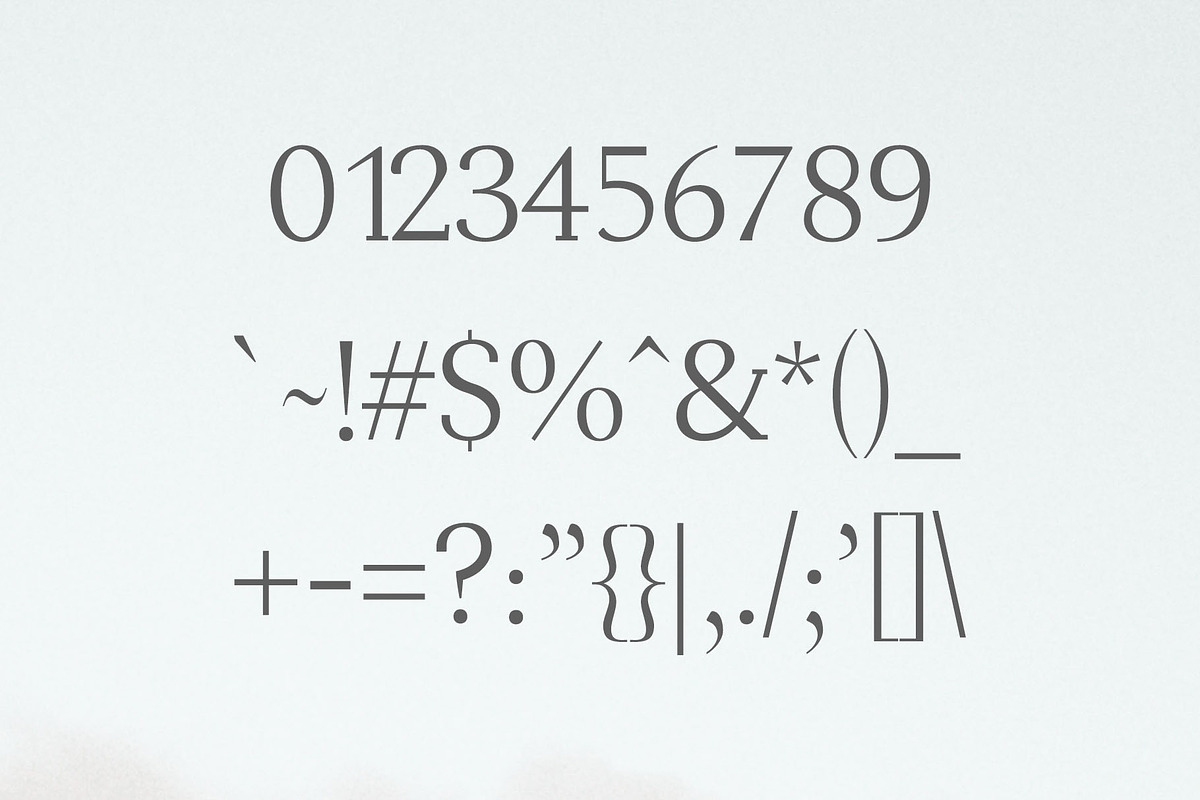 Adrina Modern Serif Font Family, a Serif Font by Symufa (Photo 4 of 7)