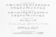 Leighton | authentic brush font, a Script Font by RedyStudio (Thumbnail 13 of 13)