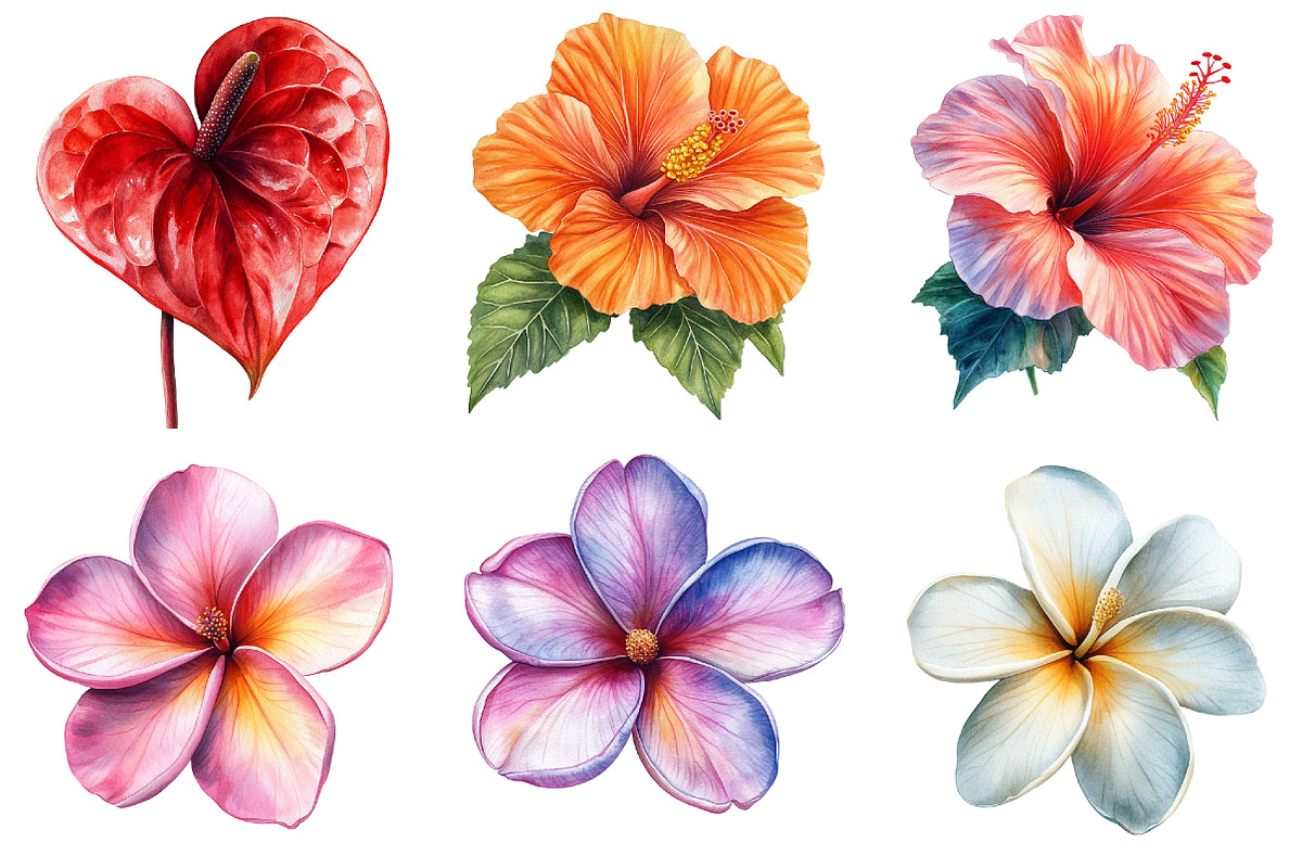 Tropical Watercolor Flower Bundle, an Illustration by Pixels.Craft (Photo 6 of 8)