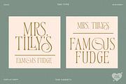 TAN - Variety, a Serif Font by TanType (Thumbnail 7 of 26)