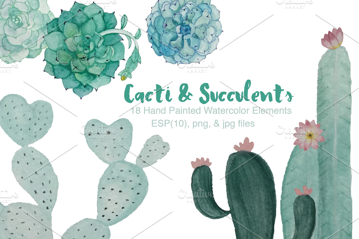 Watercolor Cacti & Succulent 4 pack, an Illustration by Valeri Nick (Photo 2 of 6)