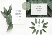 The Eucalyptus Leaves Bundle, a Print Template by Imperium Nordique (Thumbnail 3 of 5)