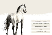 Watercolor Horses Clipart Bundle, an Animal Illustration by Design Scotch (Thumbnail 7 of 8)