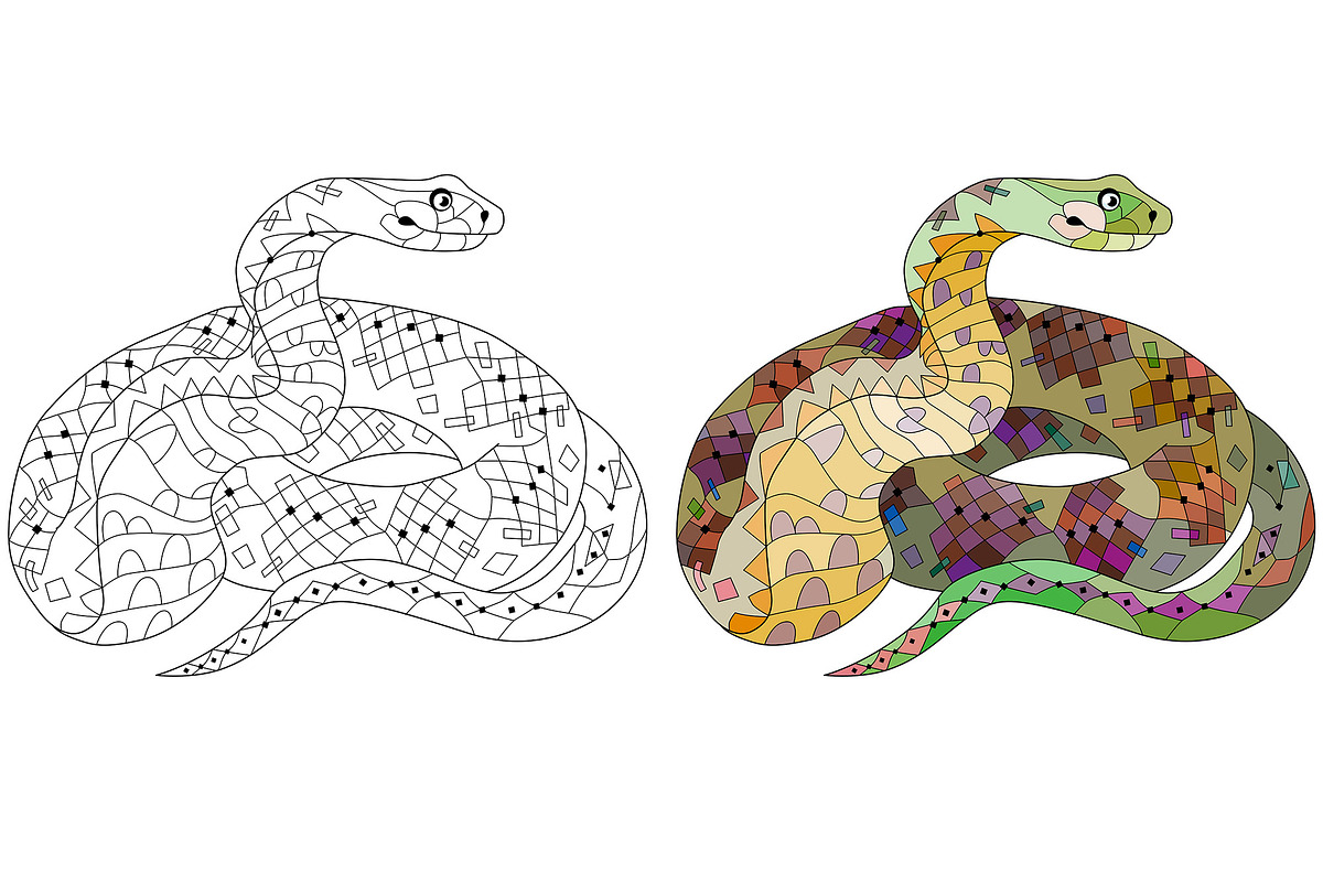 Decorative snakes for coloring, an Object Graphic by Watercolor fantasy (Photo 6 of 7)