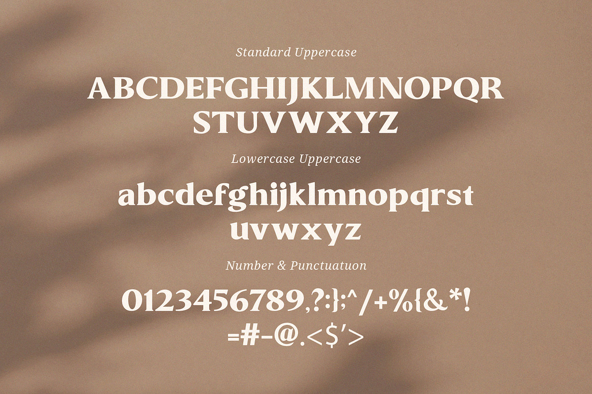 Minthe Elegant Serif Font, a Serif Font by Graphicxell (Photo 5 of 10)