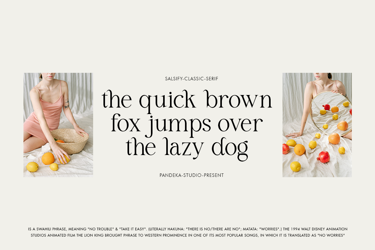Salsify - Classic Thin Serif, a Serif Font by Pandeka Studio (Photo 6 of 12)