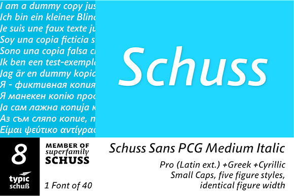 SchussSansPCGMedIta No.08 (1 Font) preview 6