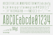 AURATIUM Regular & Slab Typeface, a Slab Serif Font by Alex-Banks Type (Thumbnail 4 of 13)