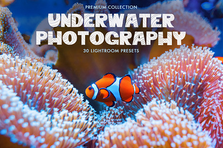 Underwater Photography Presets, a Plug-in Add-On by FixThePhoto