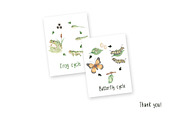 Watercolor Life Cycle Set, an Education Illustration by MayaNavits (Thumbnail 5 of 5)