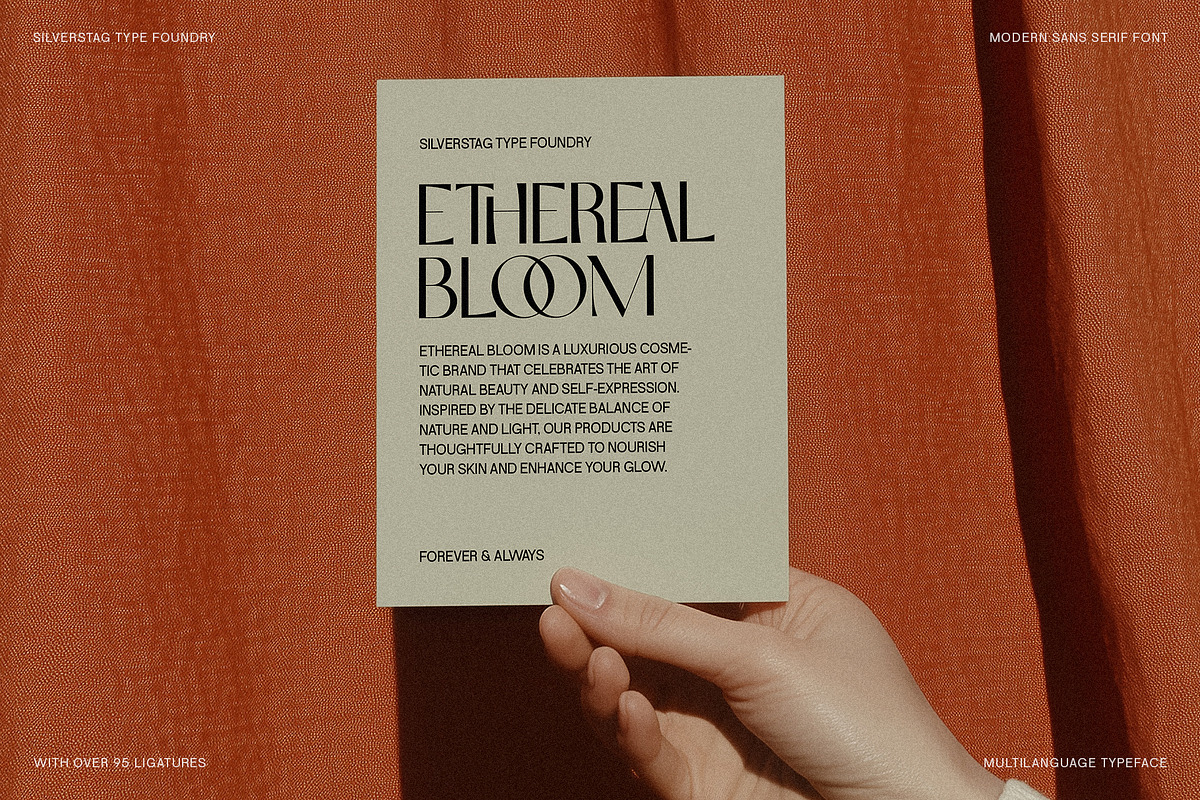 SLTF Night Windfall - Ligature Sans, a Sans Serif Font by SilverStag Type Foundry (Photo 8 of 30)