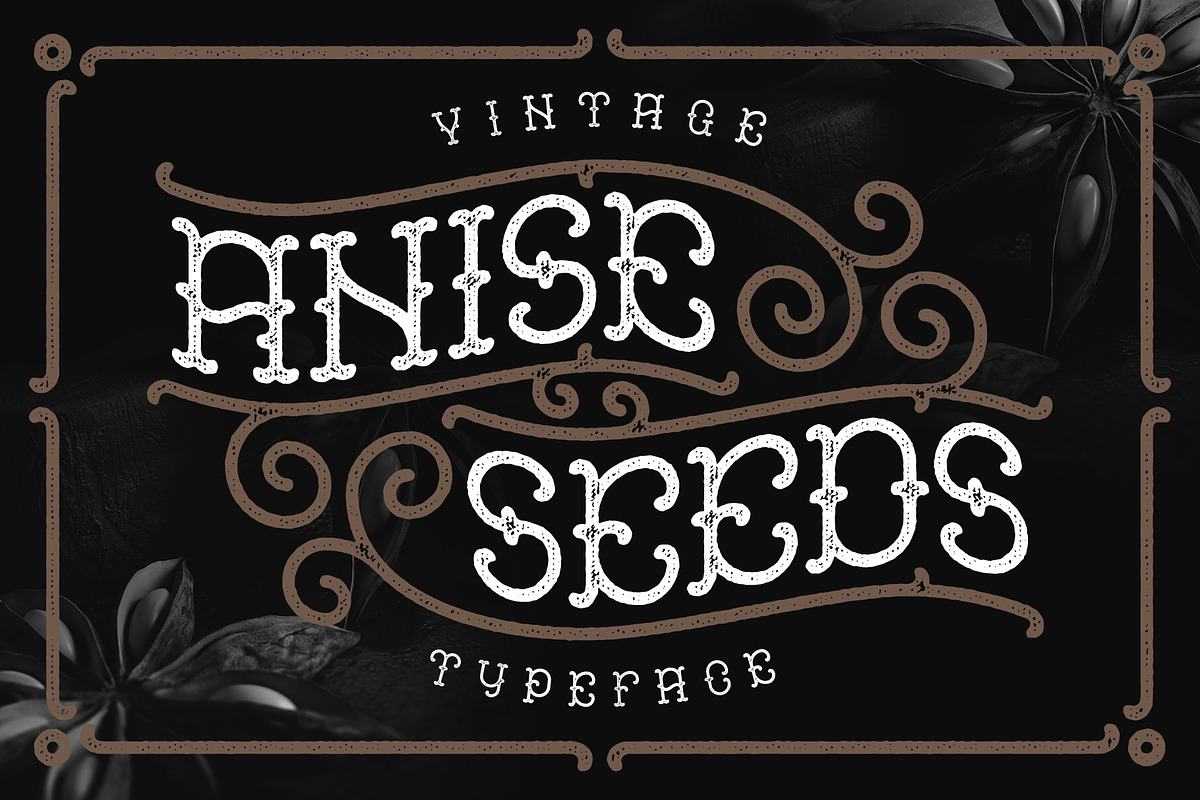 Anise Seeds typeface, a Slab Serif Font by Gleb Guralnyk (Photo 1 of 5)