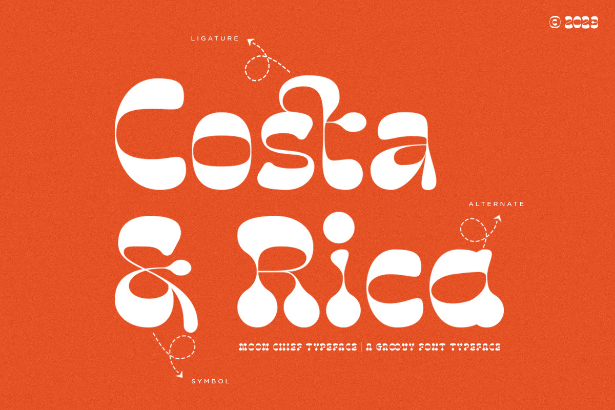 Moon Chief | Groovy Display, a Serif Font by Pentagonistudio (Photo 8 of 11)