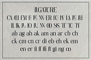 cheerfull, a Serif Font by jaffana.co (Thumbnail 7 of 7)