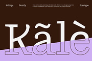 Kalinga | 91 Style Font, a Serif Font by Bosstype Studio (Thumbnail 6 of 15)