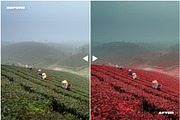 SURREAL RED COLOR GRADING LR PRESET, a Preset Add-On by ASDF Graphics (Thumbnail 2 of 10)