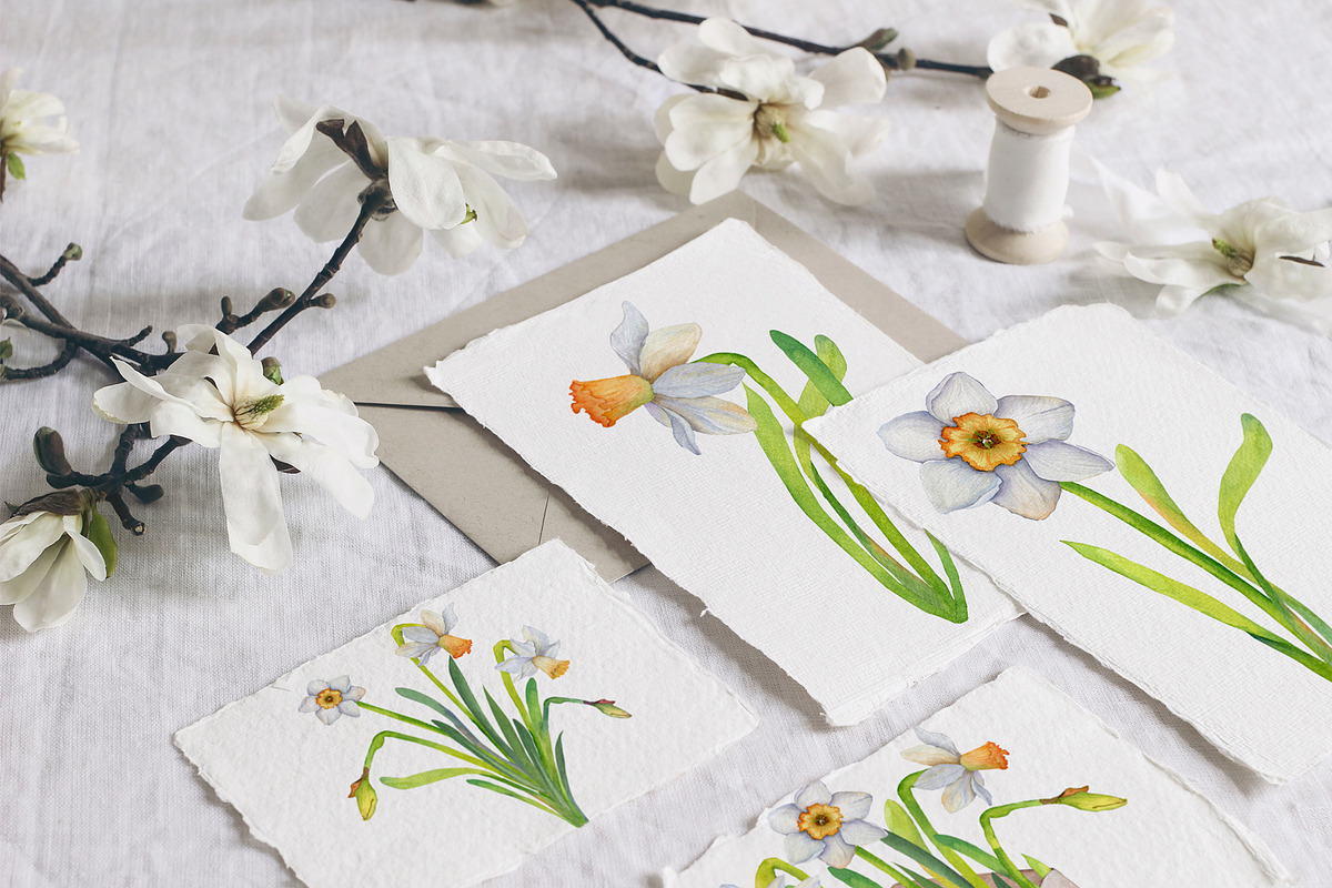 Narcissus mood & little things, an Illustration by WatercolorAnn (Photo 3 of 11)