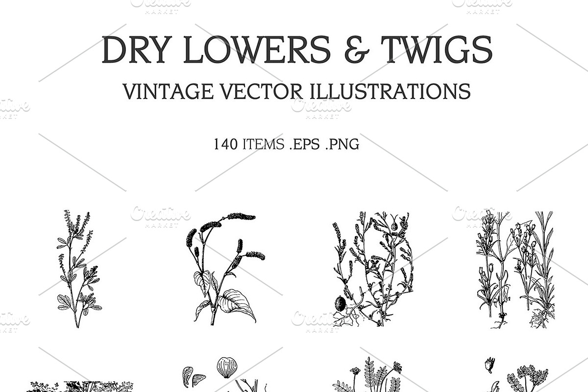 Vintage Vector Illustrations Bundle, a Food Illustration by TheBlackPixelCo (Photo 15 of 17)