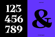 Bold Dignify - Minimalist Calm Serif, a Serif Font by Fridaytype (Thumbnail 5 of 12)