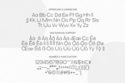 Reynard - Thin Elegant Font, a Sans Serif Font by Imoodev (Thumbnail 5 of 5)