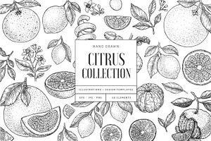 Citrus collection
