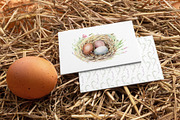 MY LITTLE FARM Watercolor set, an Animal Illustration by Lemaris (Thumbnail 10 of 12)