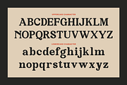 Davenia Retro Display Font, a Serif Font by Vadovastd (Thumbnail 2 of 11)