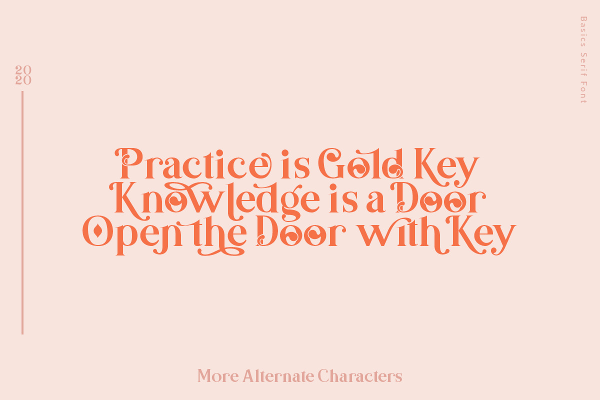 Basics Serif Font - 30% OFF preview 8