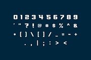 Flyer, a Serif Font by Studio One Four (Thumbnail 3 of 5)