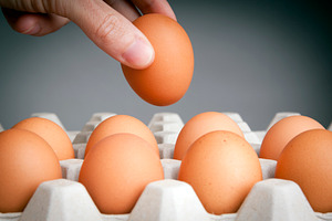 Hand Picking Eggs, a Food & Drink Photo by THP Creative