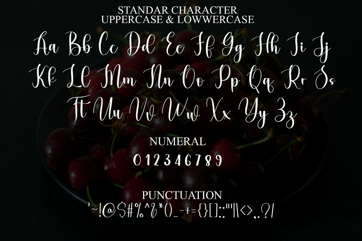 September Holiday, a Handwritten Font by FreshTypeINK (Photo 7 of 8)