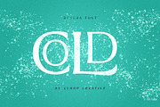 Roscha | Modern Serif Font Disc 50%, a Serif Font by LuhopCreative (Thumbnail 12 of 13)