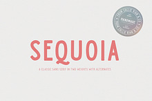 Sequoia Sans - Elegant Display Font