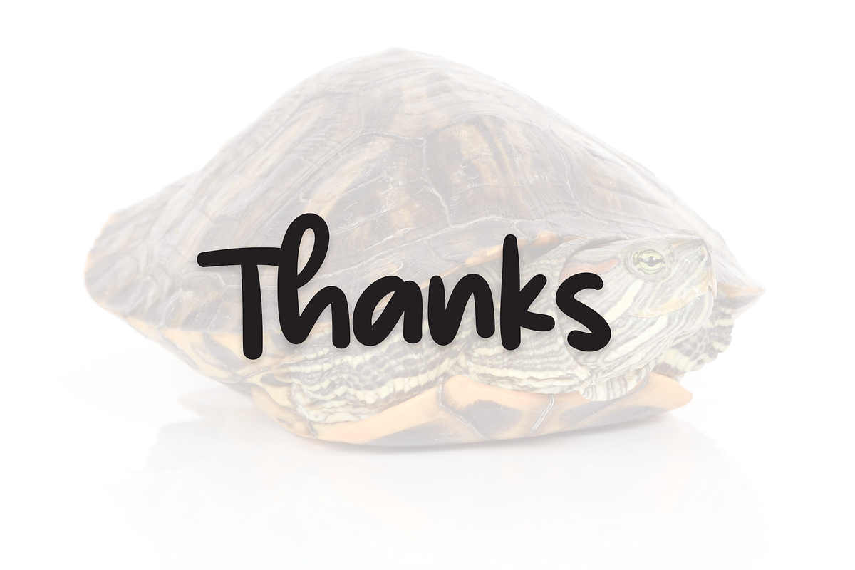 Little Turtle | Script Font, a Script Font by Scratchones (Photo 2 of 8)