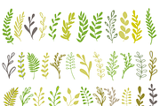 Floral illustrations, vector objects, an Object Graphic by bigmomentsdesign (Thumbnail 3 of 8)