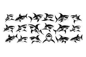 Sharks black ink drawing collection, an Animal Illustration by Valerie Bodnar