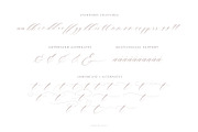 Bonami Font, a Script Font by Ivan Rosenberg (Thumbnail 8 of 11)