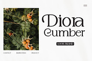 Coralis Elegant, a Sans Serif Font by Gatype (Thumbnail 5 of 10)