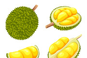 Fruit Cartoon Collection, a Decorative Illustration by YG Studio (Thumbnail 20 of 22)