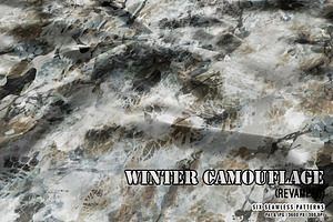 Winter Camouflage