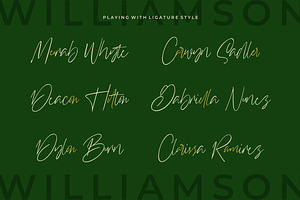 Williamson - Luxury Signature Font