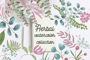 Herbal Spring Watercolor Collection