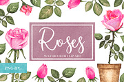 Watercolor Pink Roses, a Decorative Illustration by Color_Brush (Thumbnail 1 of 9)