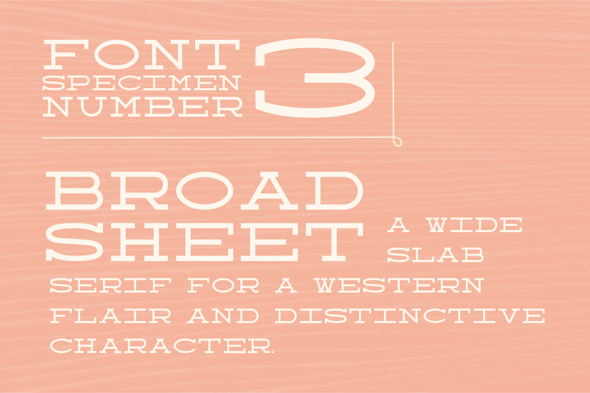 Wood Type Font Collection preview 7