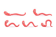 Cartoon funny worm. Animation, an Animal Illustration by Vector Tradition (Thumbnail 1 of 3)